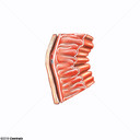 Peric�rdio